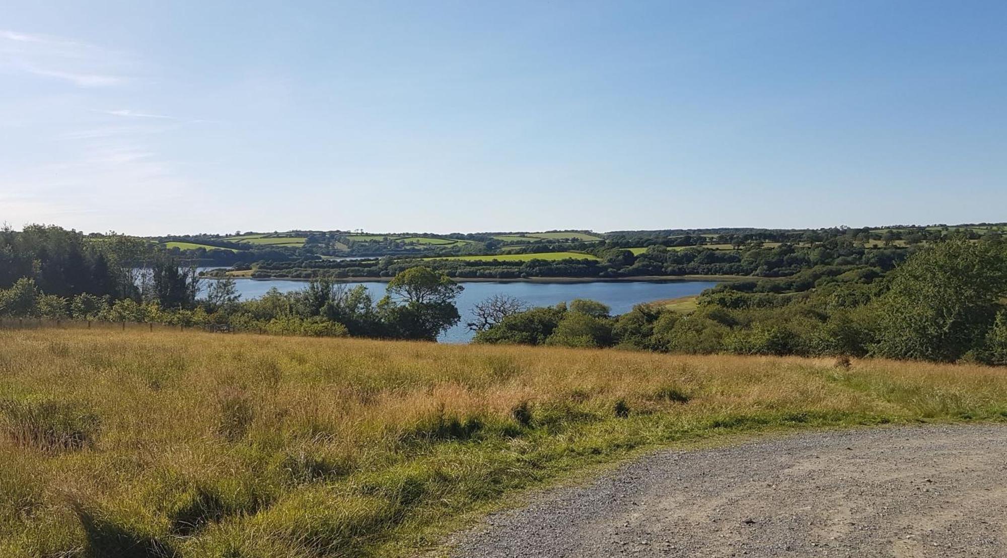 Вілла Couples Retreat In Beautiful West Devon Countryside Broadwoodwidger Екстер'єр фото